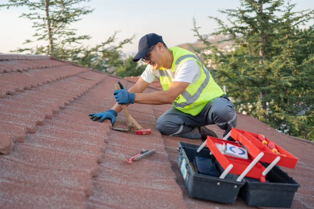 Best Roof Leak Repair  in Austintown, OH