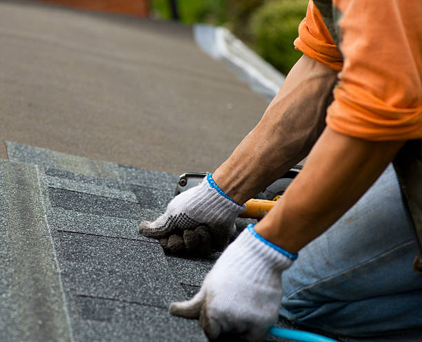 Best Roof Restoration Services  in Austintown, OH